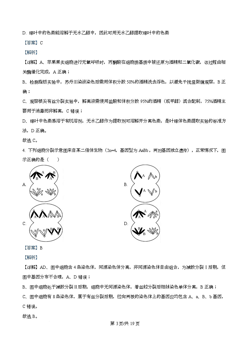 安徽省华师联盟2025-2026学年高三上学期1月质量检测生物试题 Word版含解析第3页