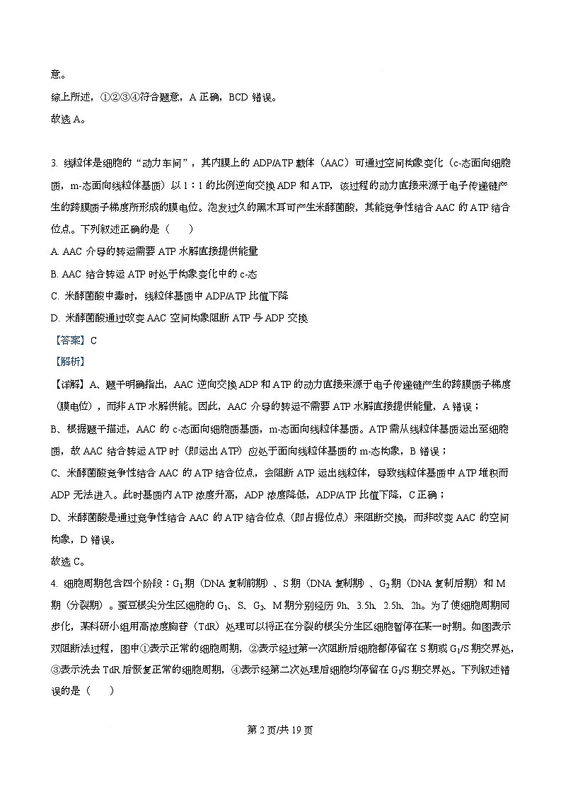 安徽省六校联考2025-2026学年高三上学期1月月考生物试题  Word版含解析第2页