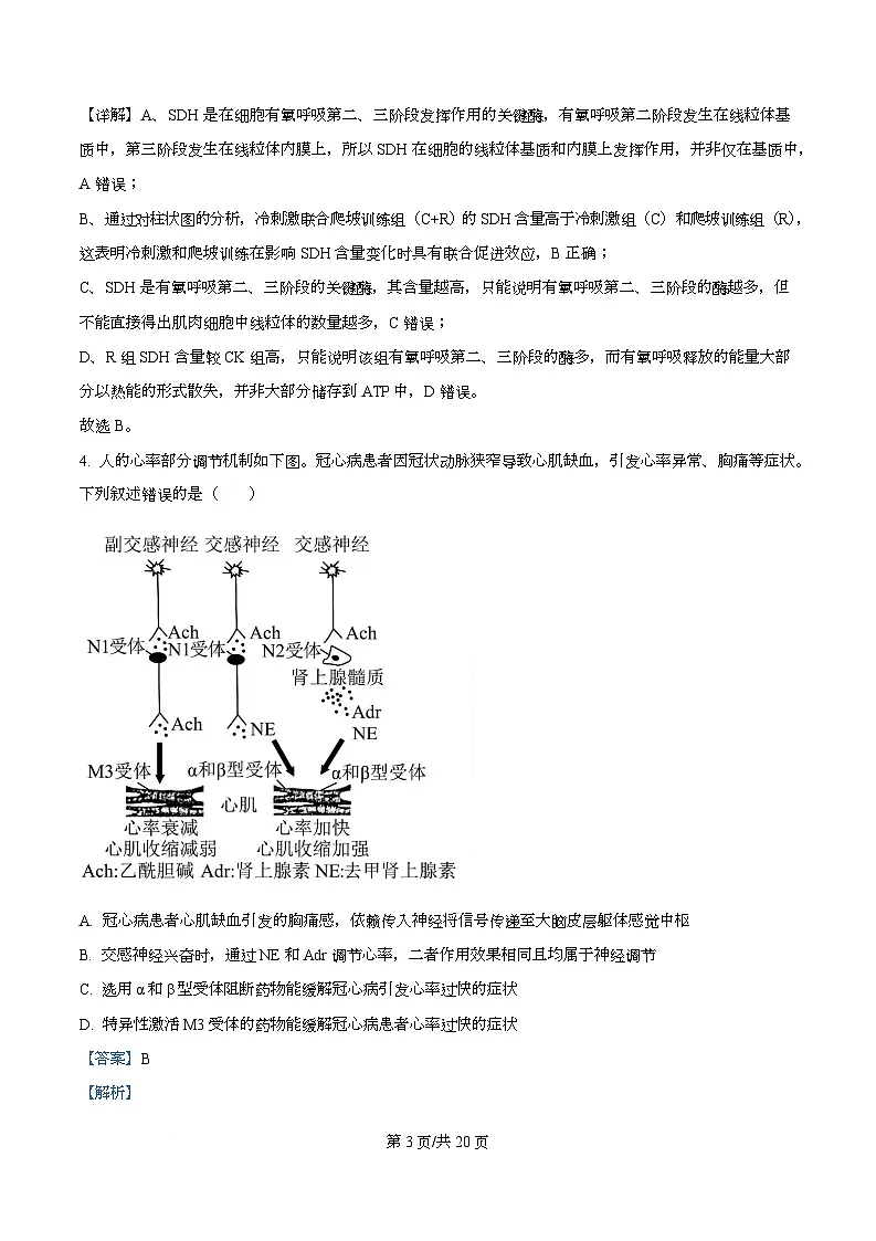 安徽马鞍山市2025—2026学年高三第一次教学质量监测生物试卷 Word版含解析第3页