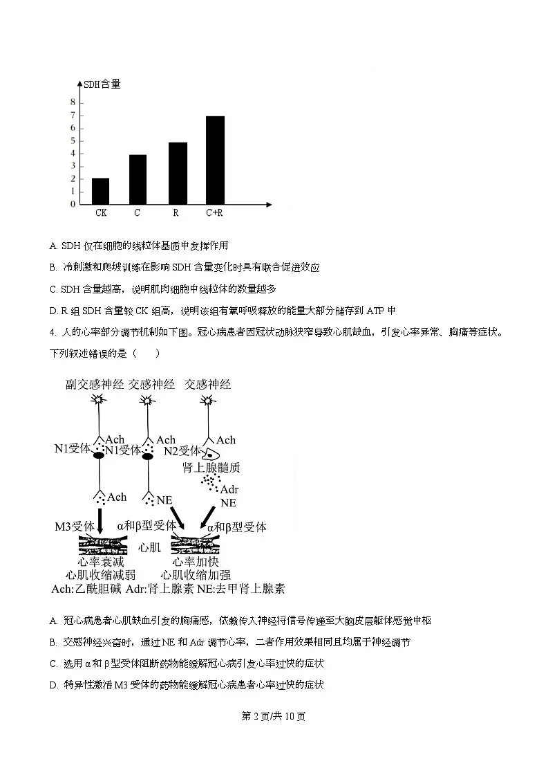 安徽马鞍山市2025—2026学年高三第一次教学质量监测生物试卷 Word版无答案第2页