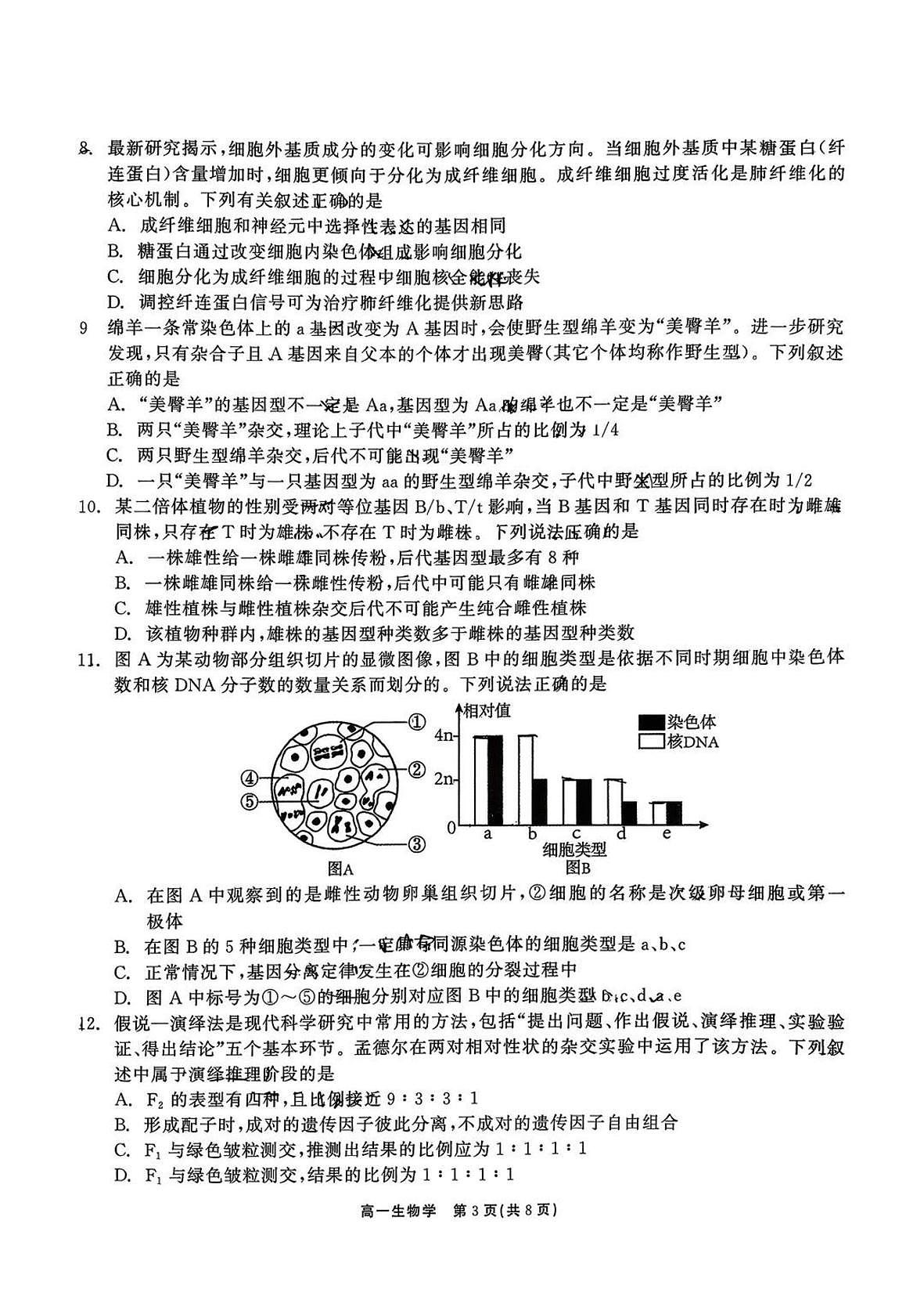 广东深圳外国语学校2025-2026学年度高一年级第一学期期末考试生物学试题第3页