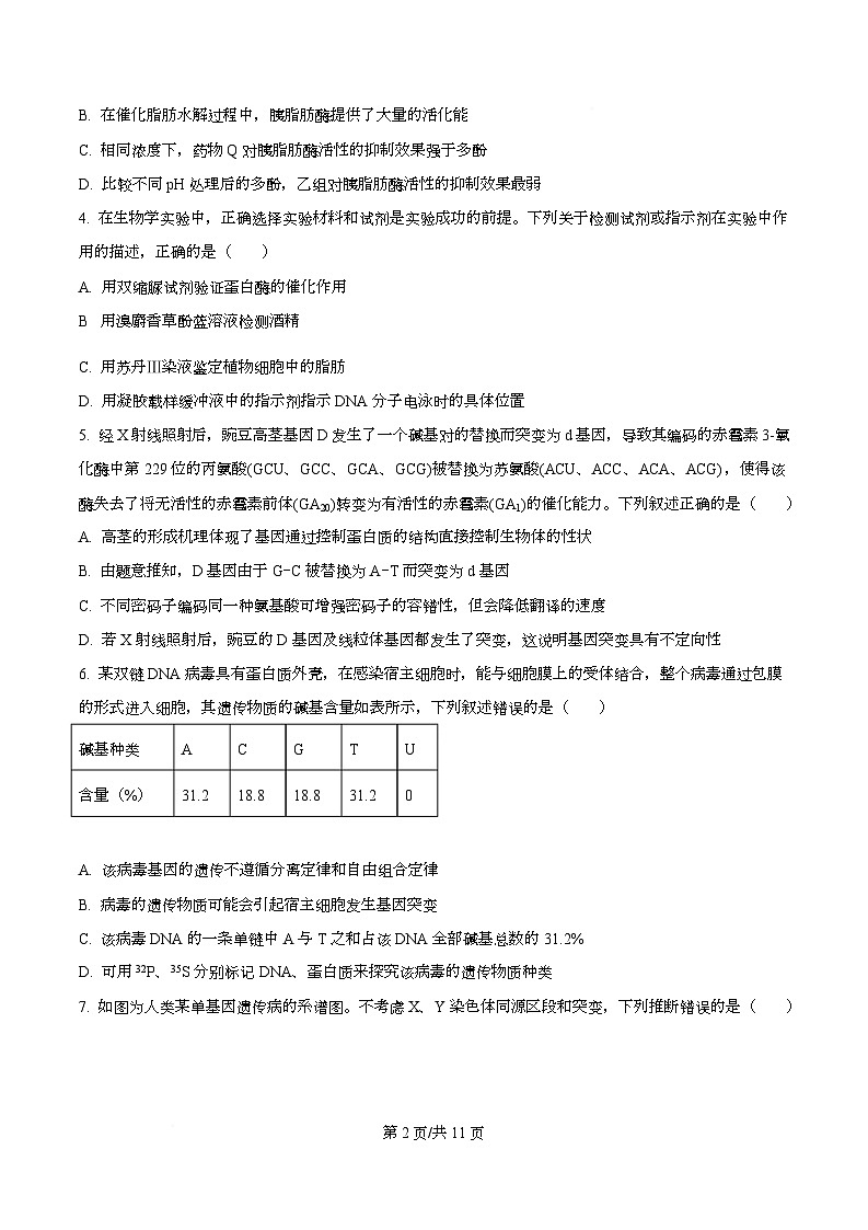 2026届四川省绵阳市涪城区四川省绵阳南山中学高三模拟预测生物试题  Word版无答案第2页