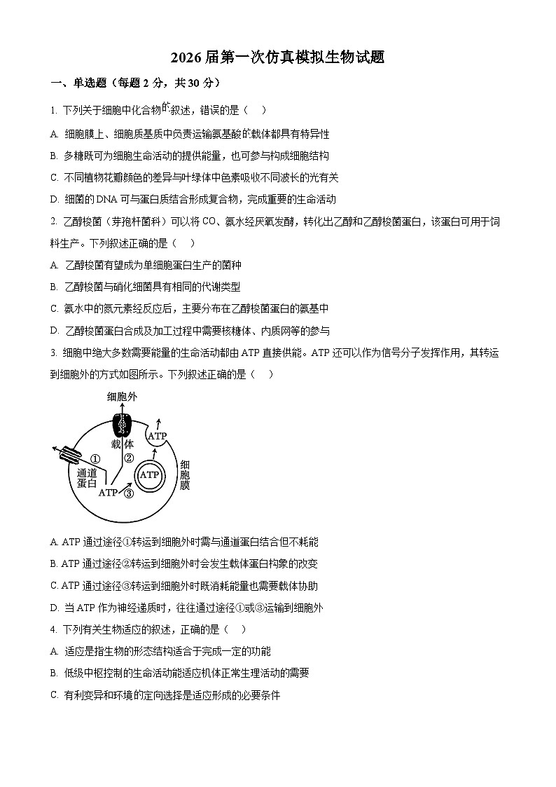 2026届江苏省南京市六合区名校联盟高三一模生物试题  Word版无答案第1页