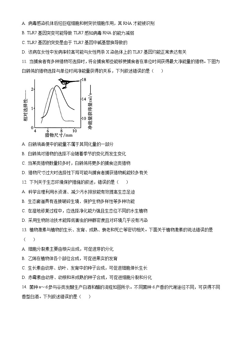 2026届江苏省南京市六合区名校联盟高三一模生物试题  Word版无答案第3页