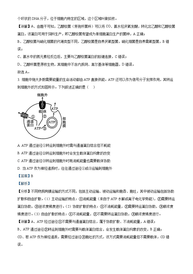 2026届江苏省南京市六合区名校联盟高三一模生物试题  Word版含解析第2页