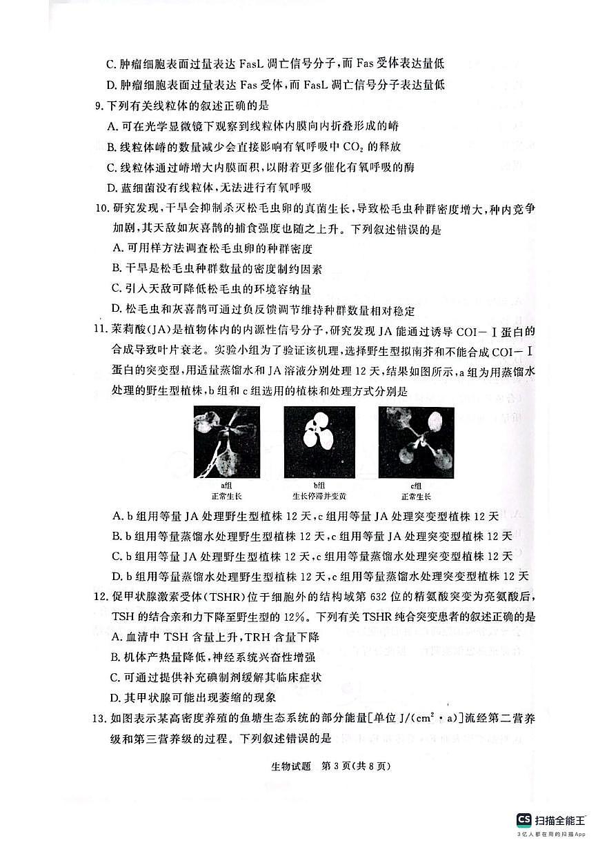 河南青桐鸣大联考2025-2026学年高三下学期3月阶段检测生物试题第3页