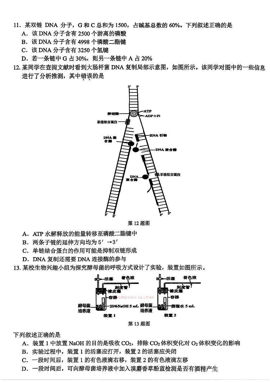 2026年七彩阳光高三下学期3月生物试题及答案第3页