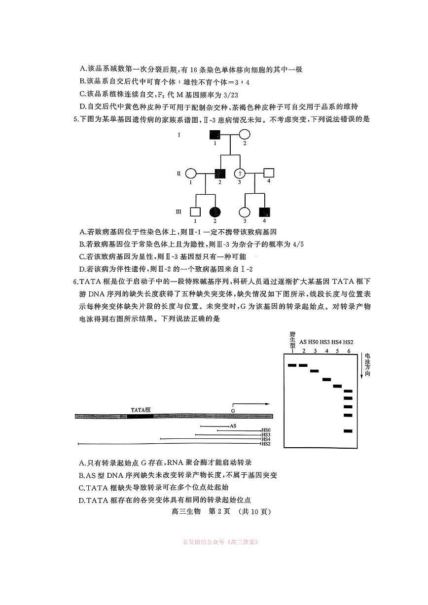 2026年山东名校考试联盟高三下学期3月生物试题及答案第2页