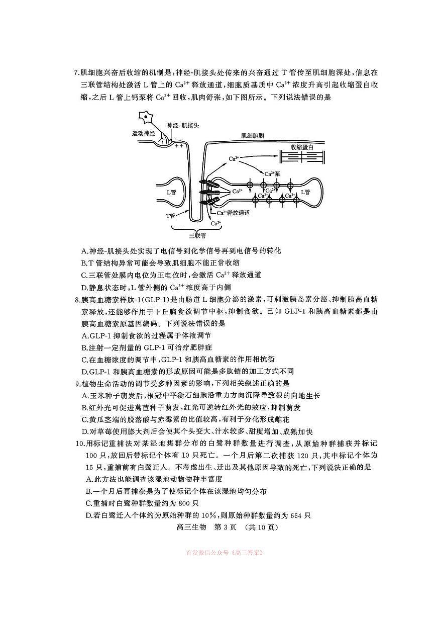 2026年山东名校考试联盟高三下学期3月生物试题及答案第3页