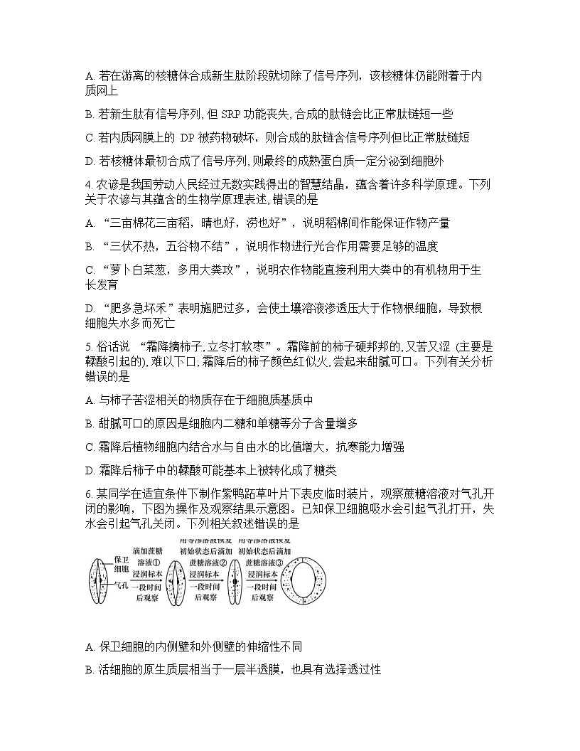 辽宁省实验中学2026年2月高一下学期开学考试生物试卷第2页