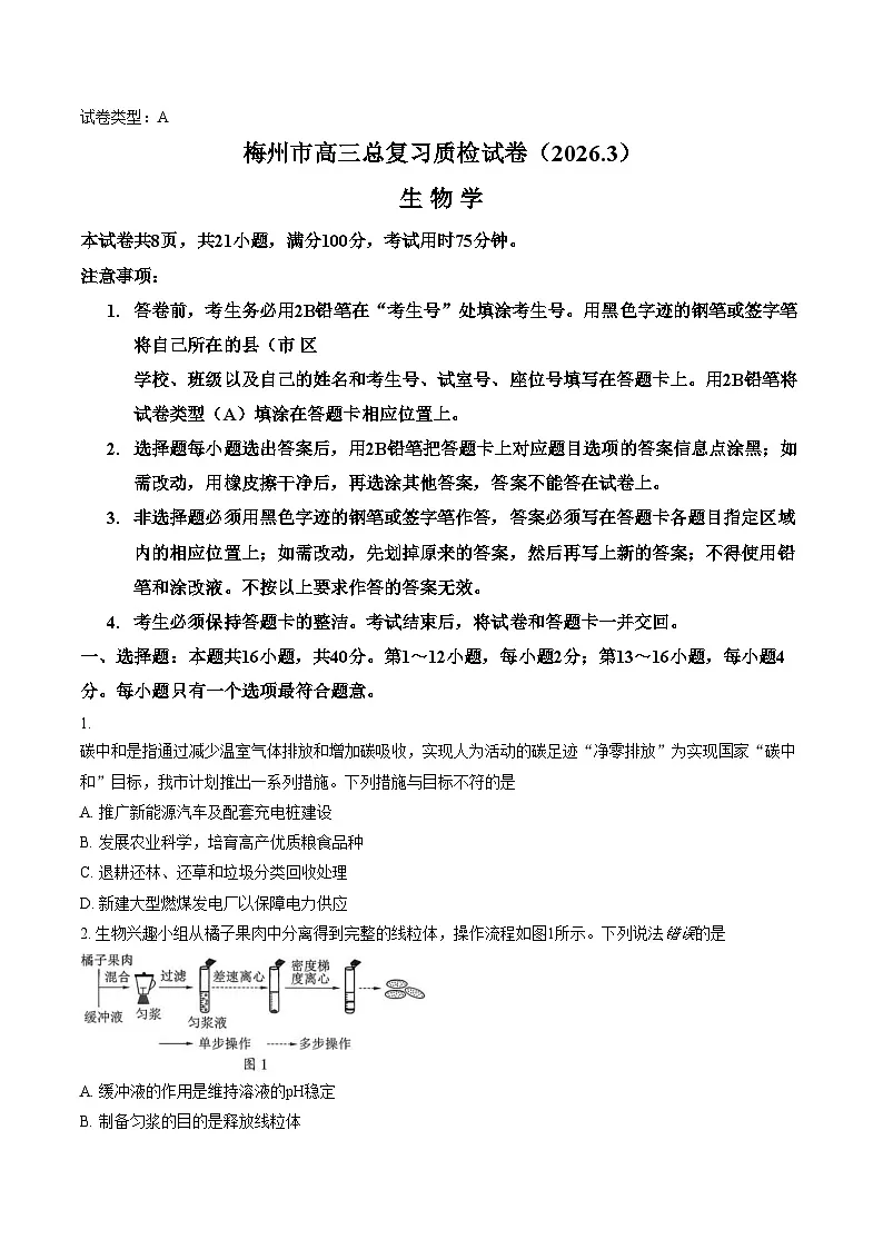 2026届广东省梅州市高三3月一模总复习质检生物试卷（文字版，含答案）第1页