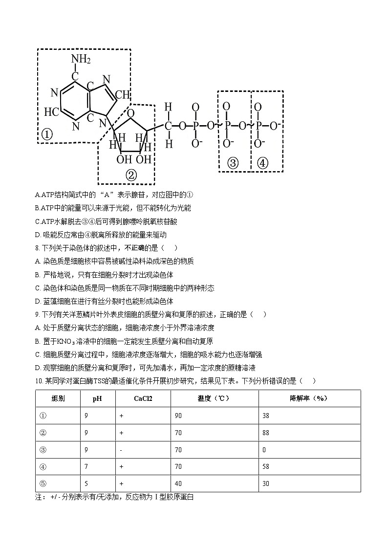 山西省长治2025_2026学年上学期期末高一生物学试卷（文字版，含答案）第3页