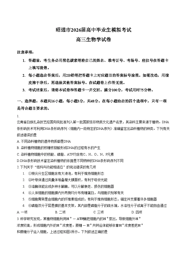 云南昭通市2026届高中毕业生上学期模拟考试高三生物学试卷（文字版，含答案）第1页