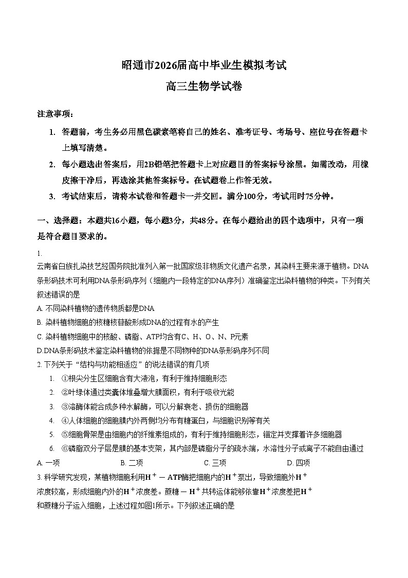 云南昭通市2026届高中毕业生上学期模拟考试高三生物学试卷（文字版，含答案）第1页