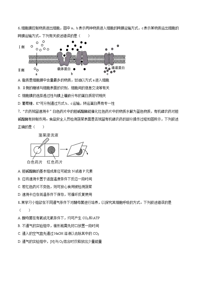 广西北海市2025-2026学年高一（上）期末生物试卷第3页