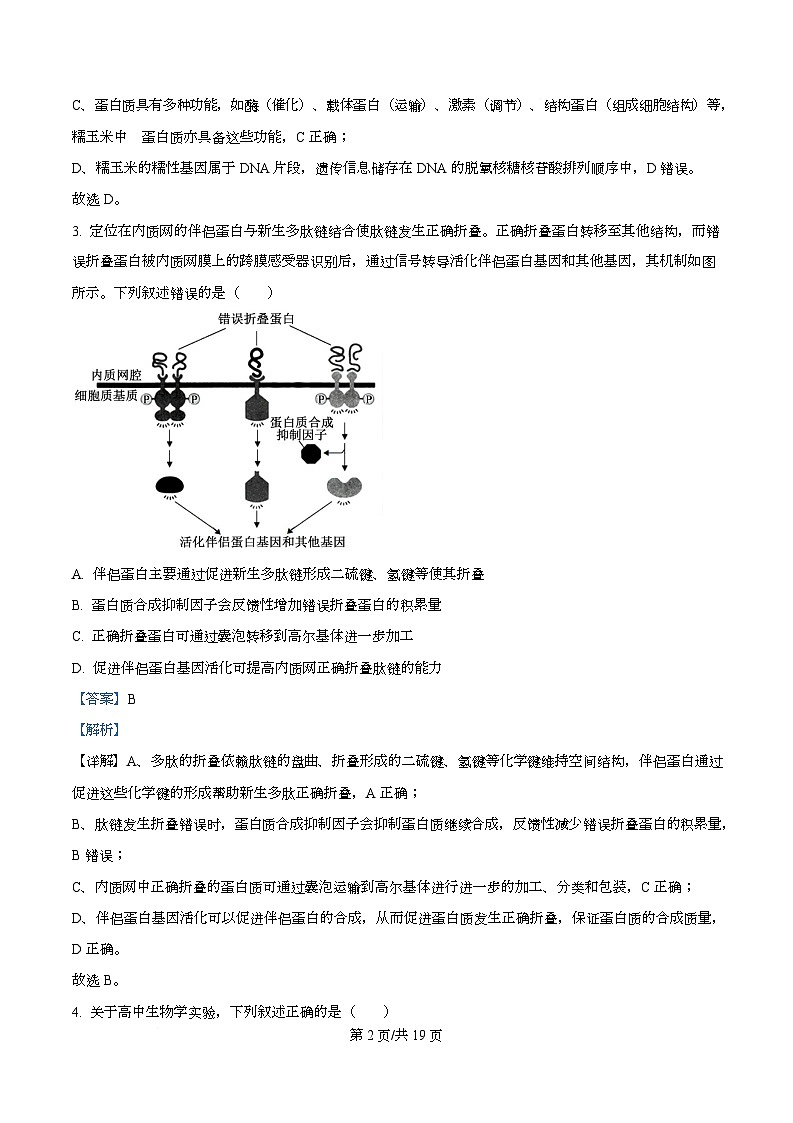 四川省内江市威远中学2026届高三第二次模拟考试生物试题 Word版含解析第2页