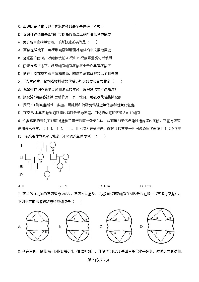 四川省内江市威远中学2026届高三第二次模拟考试生物试题（原卷版）第2页