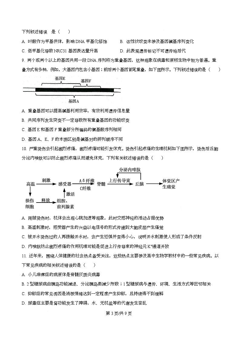 四川省内江市威远中学2026届高三第二次模拟考试生物试题（原卷版）第3页