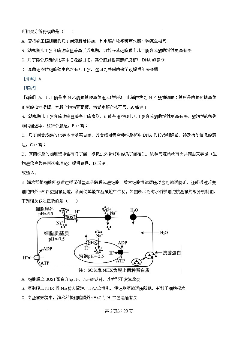 湖北部分重点中学2025—2026学年高三上学期第二次联考生物试卷  Word版含解析第2页