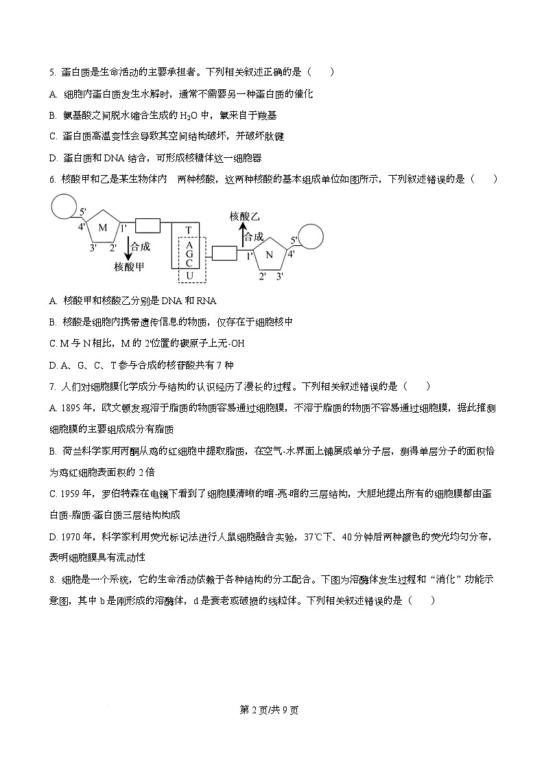 湖北恩施土家族苗族自治州恩施州高中教学联盟2025年秋季学期高一年级期末考试生物试题  Word版无答案第2页