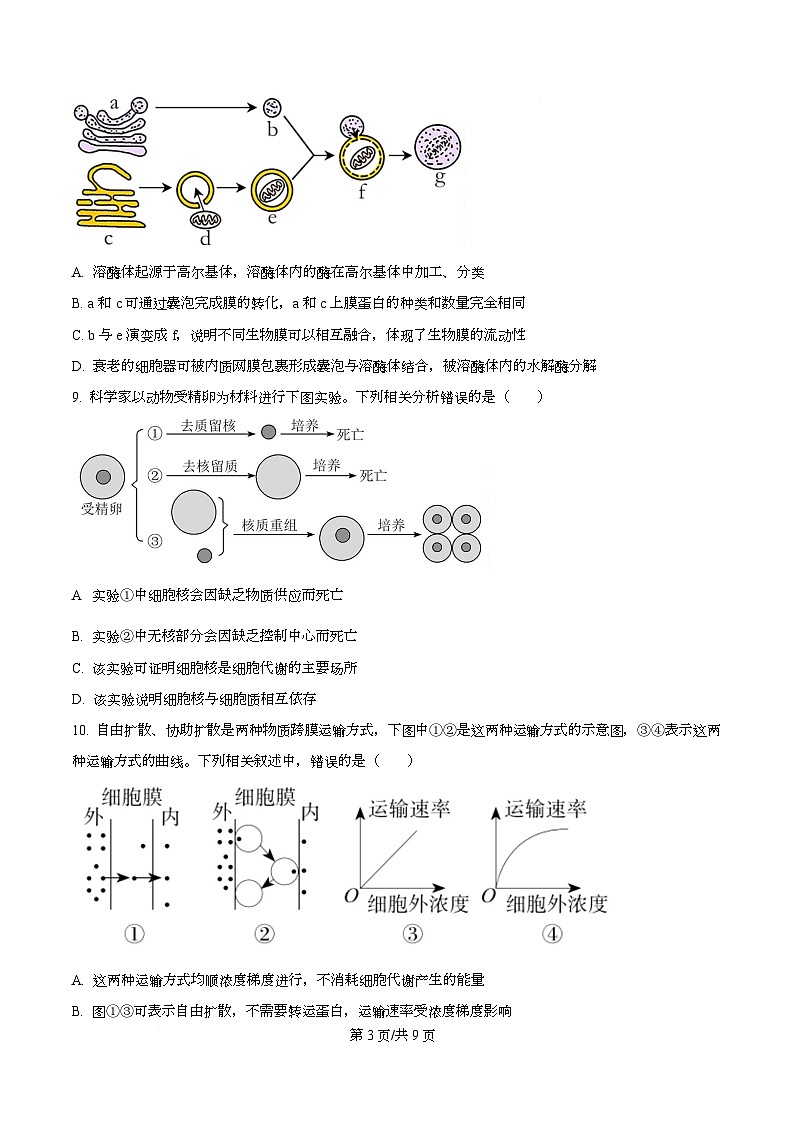 湖北恩施土家族苗族自治州恩施州高中教学联盟2025年秋季学期高一年级期末考试生物试题  Word版无答案第3页
