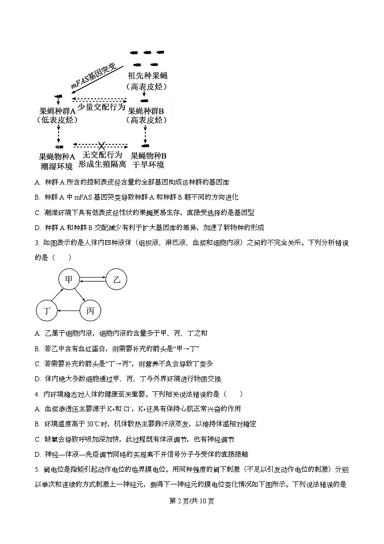 湖北黄冈市2025年秋季高二年级上学期期末考试 生物学试题  Word版无答案第2页