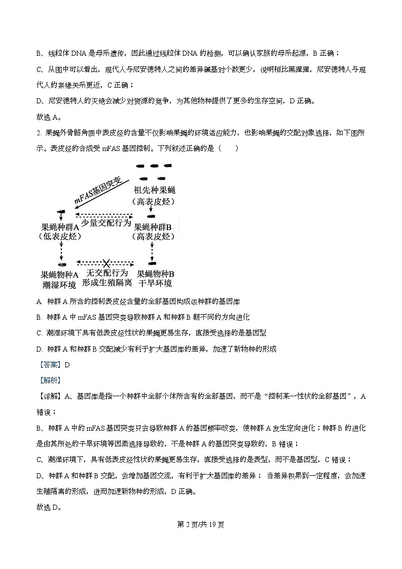 湖北黄冈市2025年秋季高二年级上学期期末考试 生物学试题  Word版含解析第2页