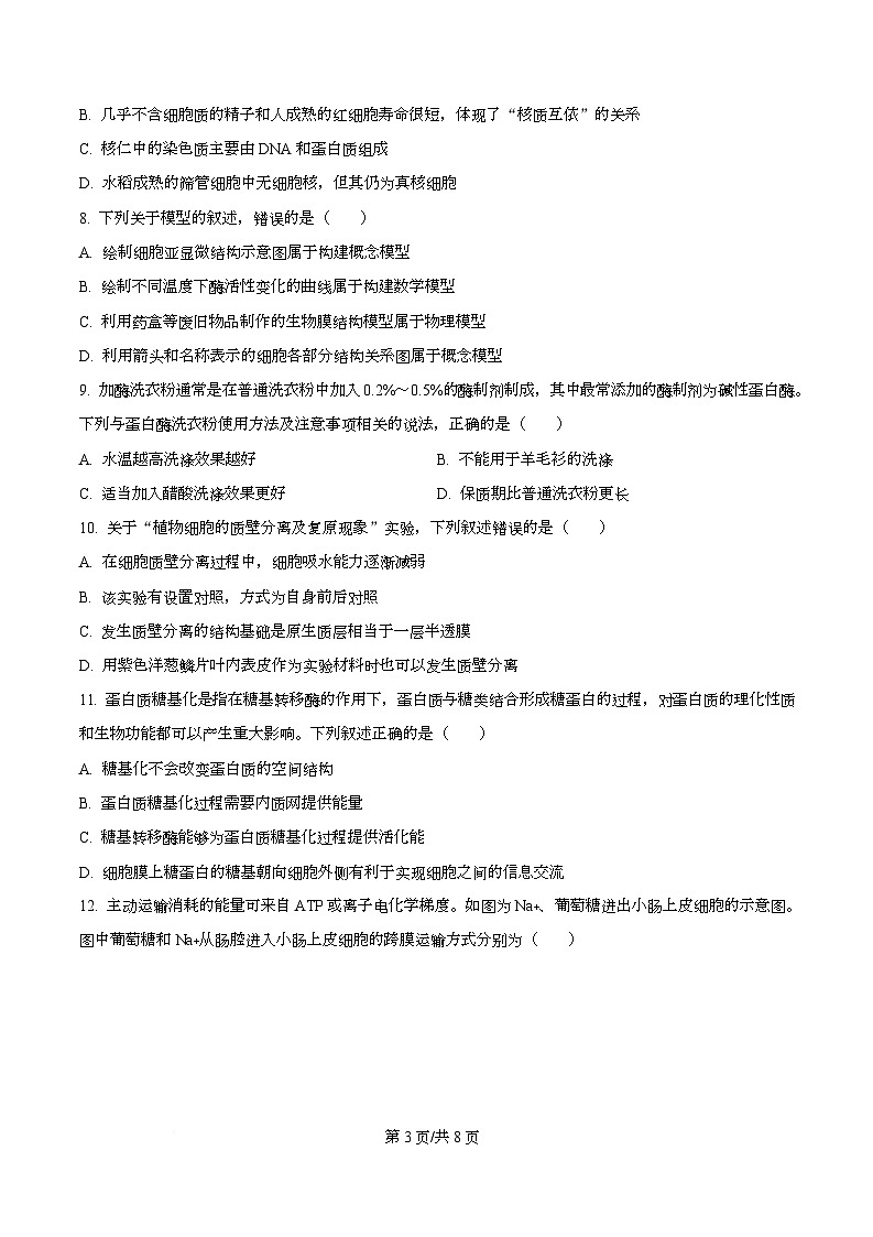 湖北省武汉市2025-2026学年度上学期期末高一年级生物学科训练试题  Word版无答案第3页