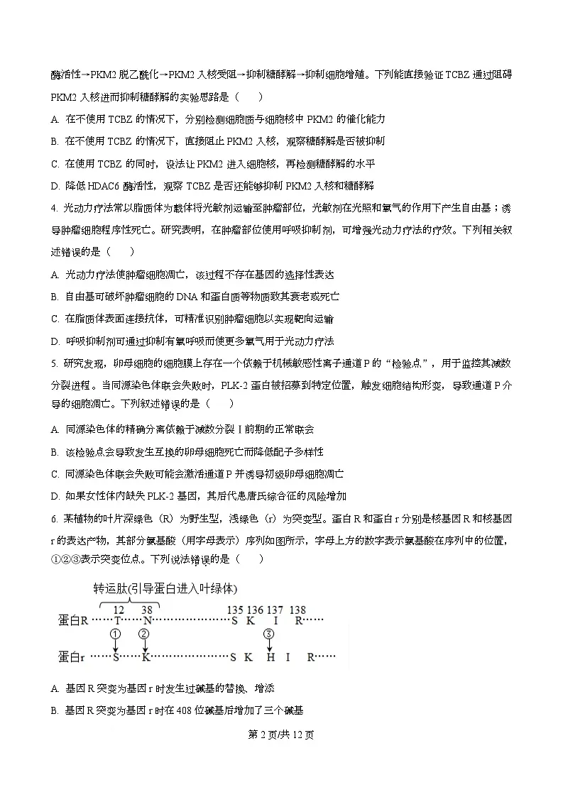 湖北武汉四中2025-2026学年高三下学期2月月考生物试卷 Word版无答案第2页