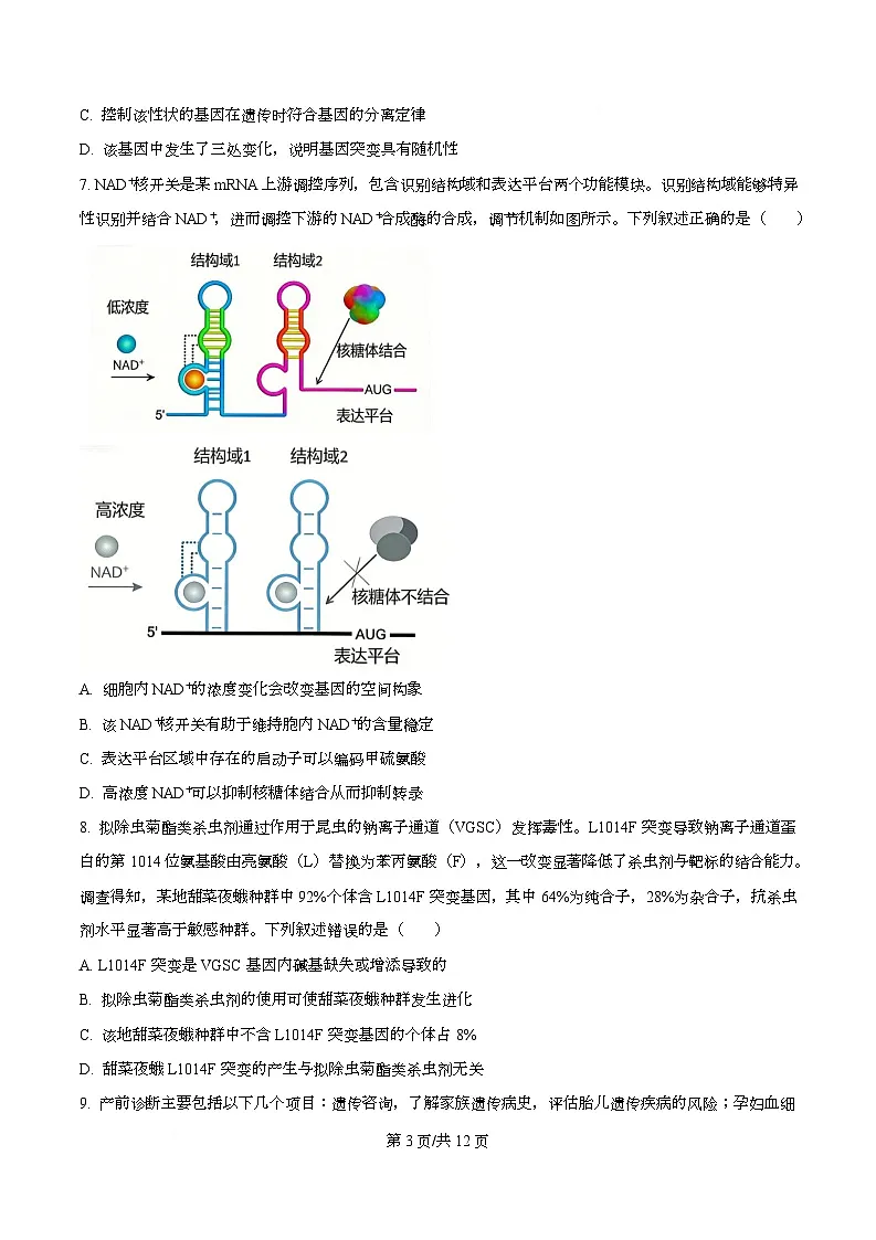湖北武汉四中2025-2026学年高三下学期2月月考生物试卷 Word版无答案第3页