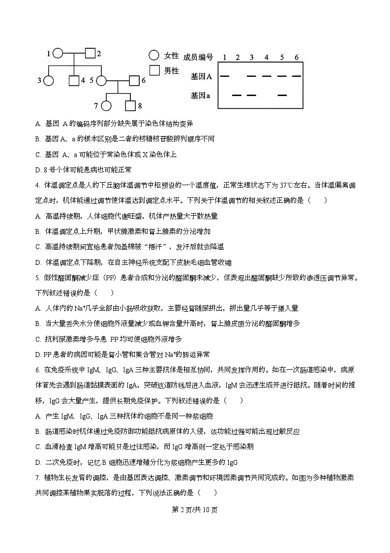 湖南省郴州市2025-2026学年上学期期末教学质量监测 高二生物学  Word版无答案第2页