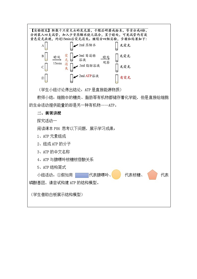 人教版（2019）高中生物必修一 5.2 细胞的能量“货币”ATP【教学设计】第2页