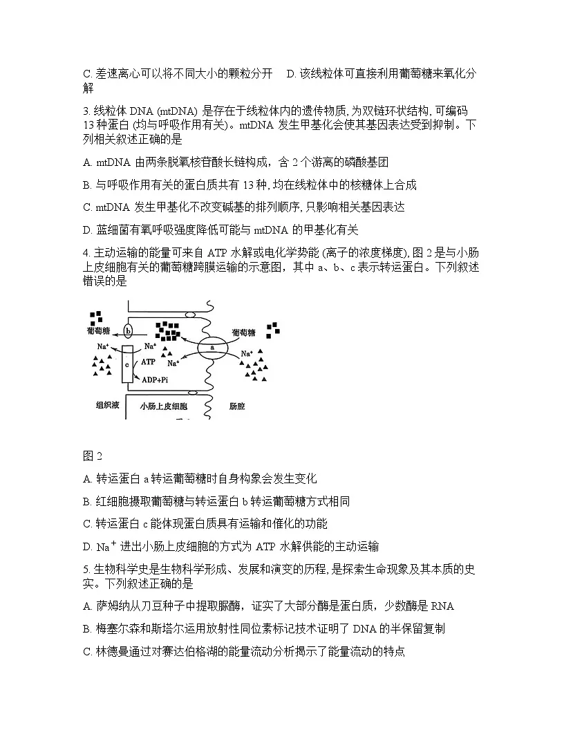 广东省梅州市2026年高三高考一模生物试卷含答案第2页