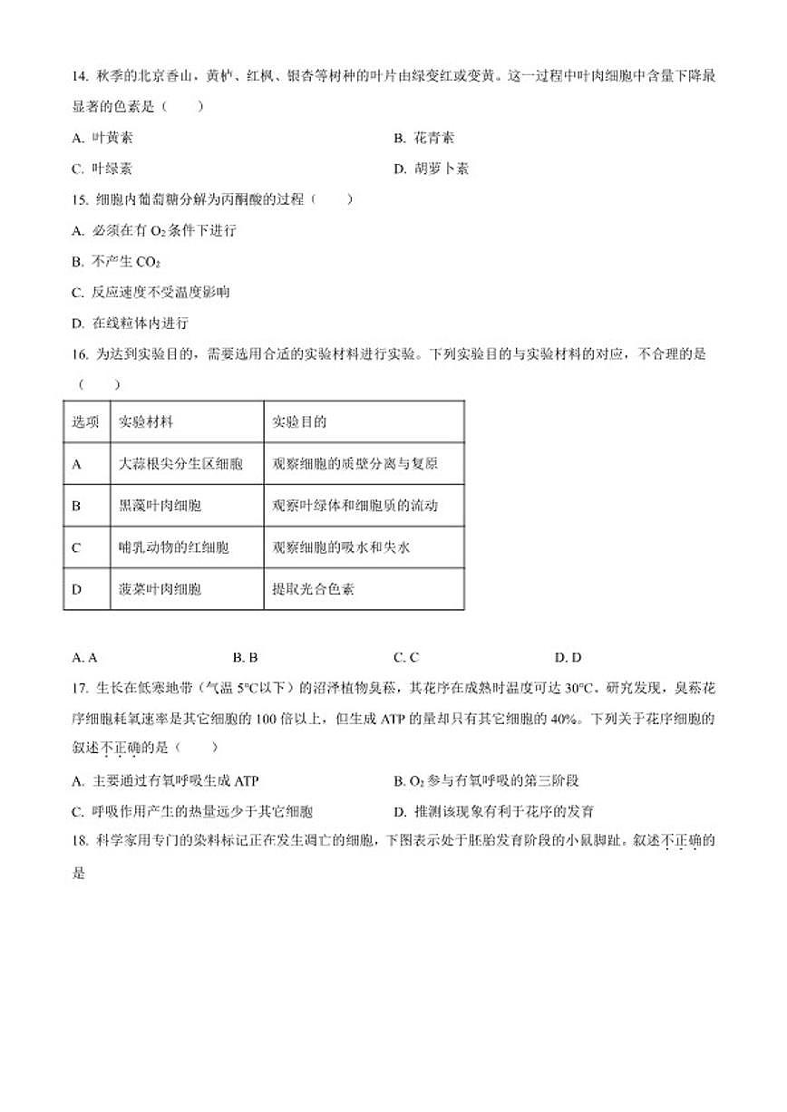 北京市通州区2026年高一上学期期末生物学试题（无答案）第3页