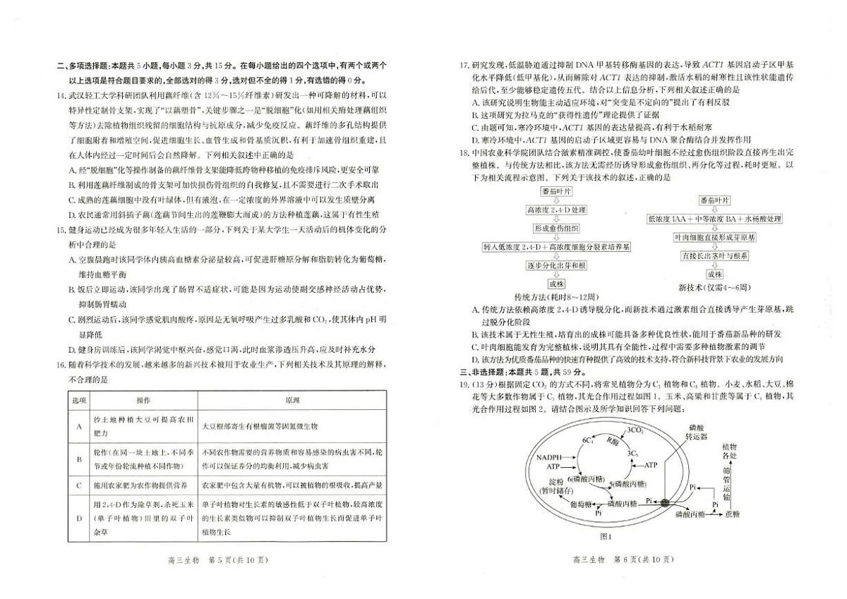 2025-2026学年河北省雄安新区部分学校高三下学期开学考试生物试题（含解析）第3页