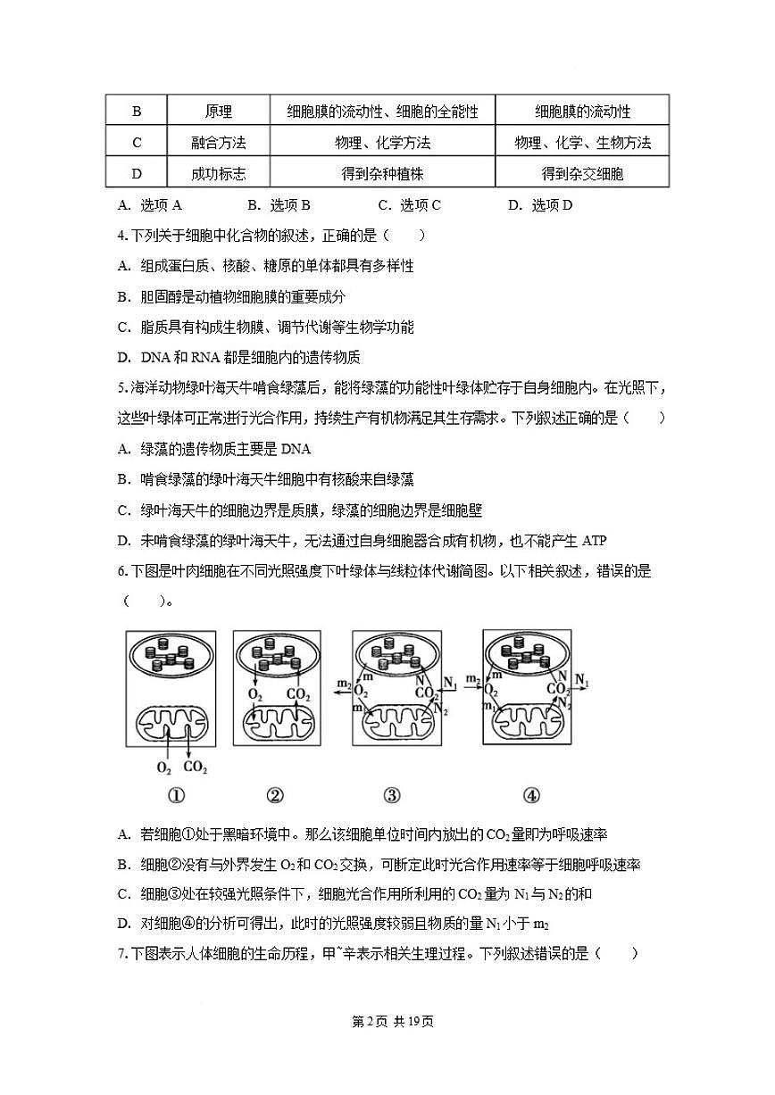 2025-2026学年云南玉溪市元江县高三年级上学期期末考试生物学试卷（含解析）第2页