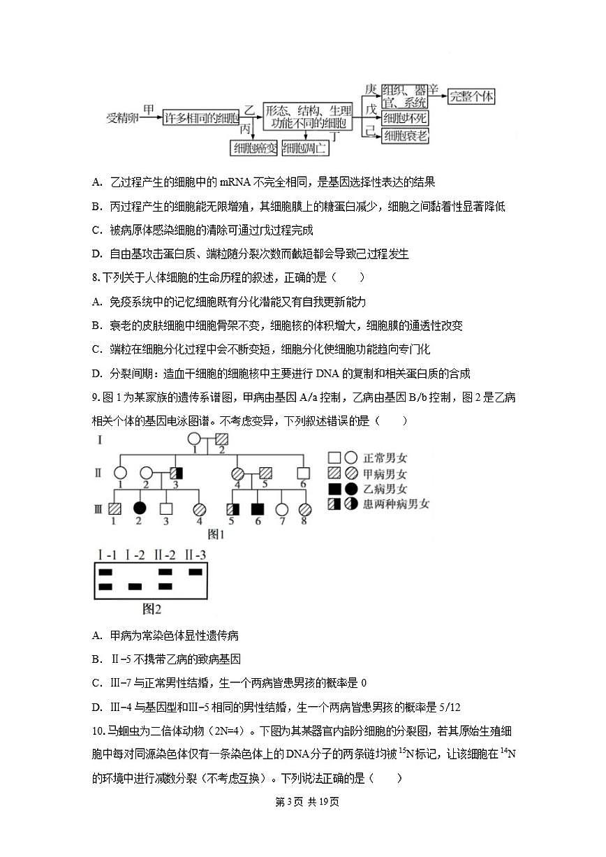 2025-2026学年云南玉溪市元江县高三年级上学期期末考试生物学试卷（含解析）第3页