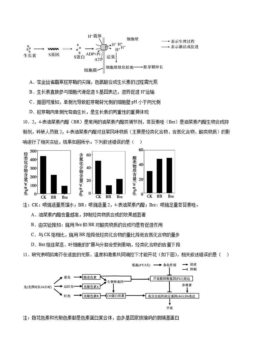 安徽省宣城市2025～2026学年高二上期末检测生物试卷(含答案)第3页
