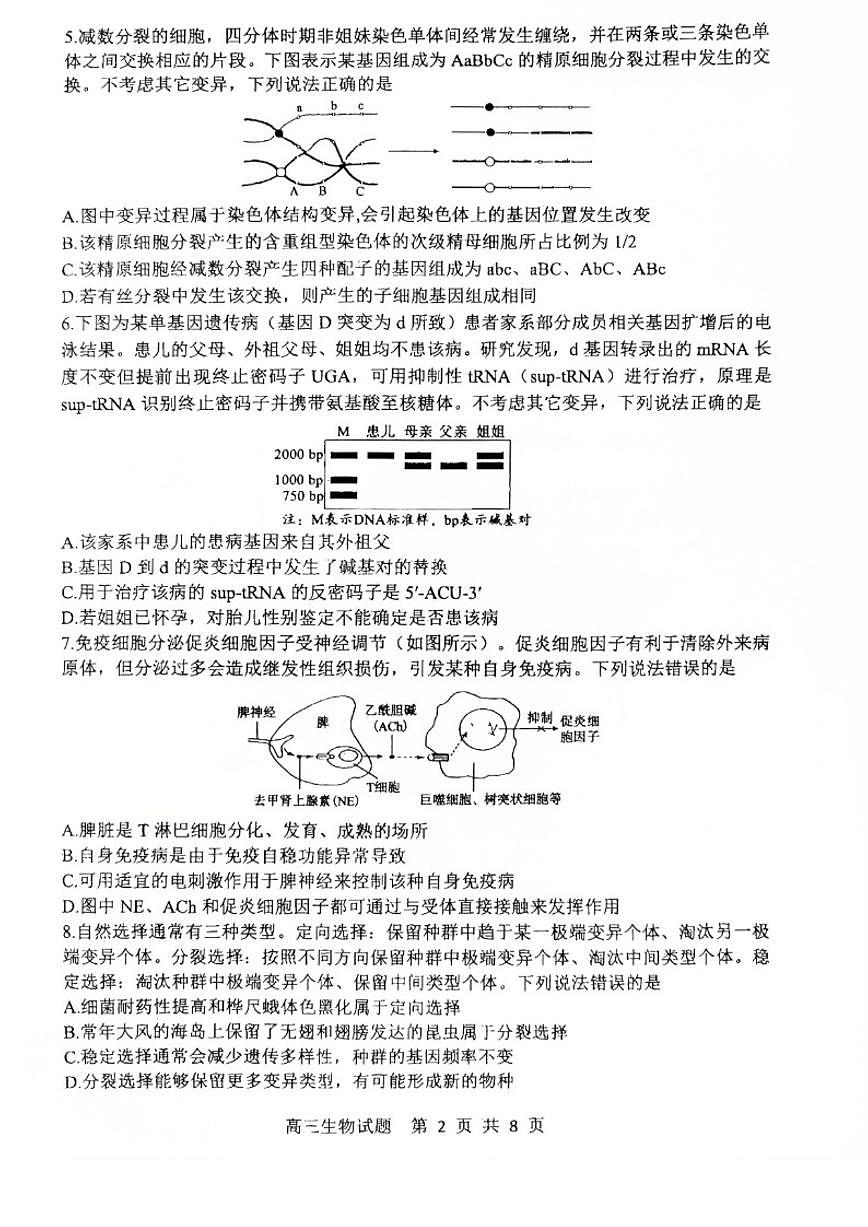 2026届山东省东营市高三一模诊断性测试生物试题（含答案）第2页