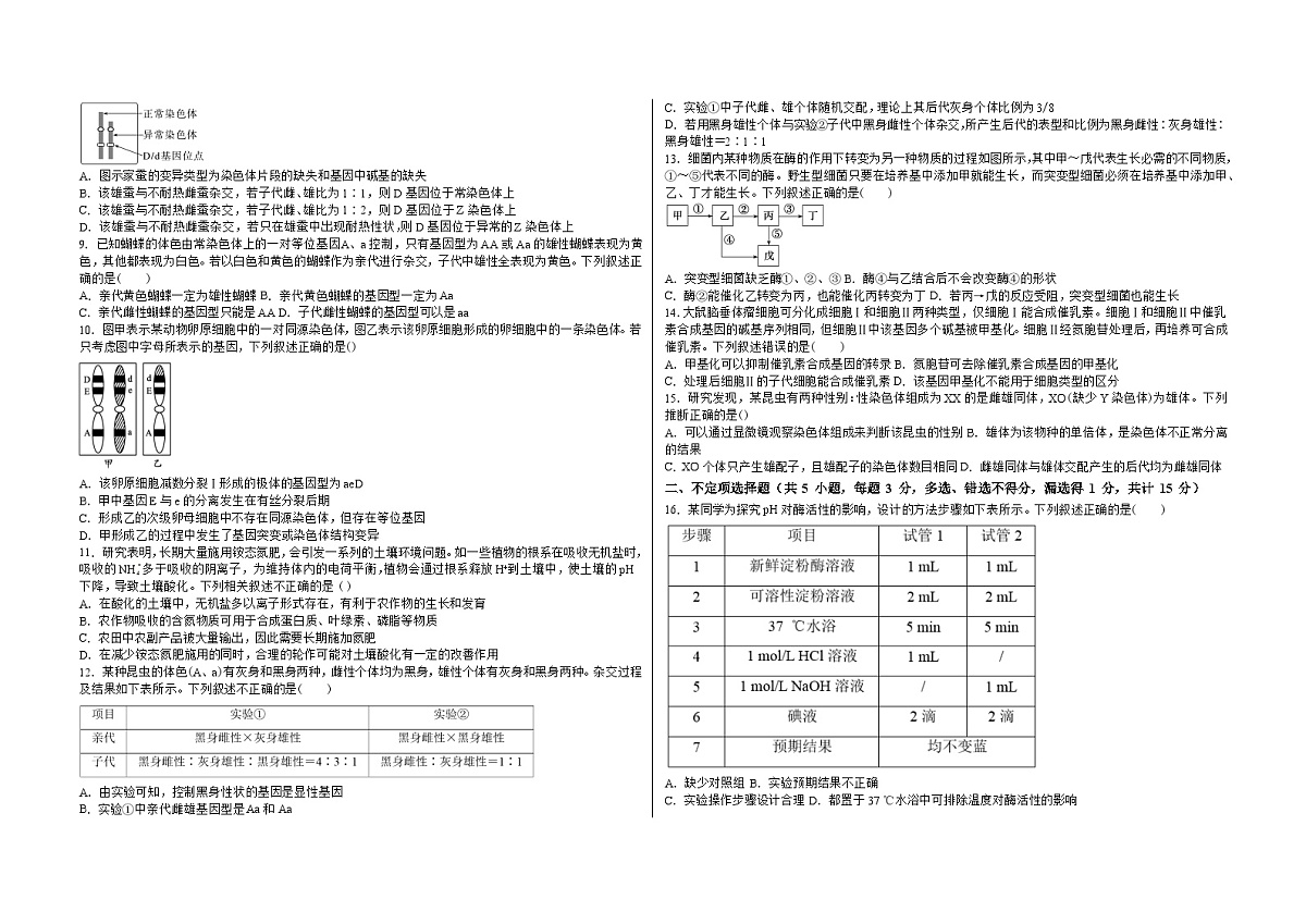 吉林省白城市实验高级中学2025届高三上学期1月期生物试卷（含答案）第2页