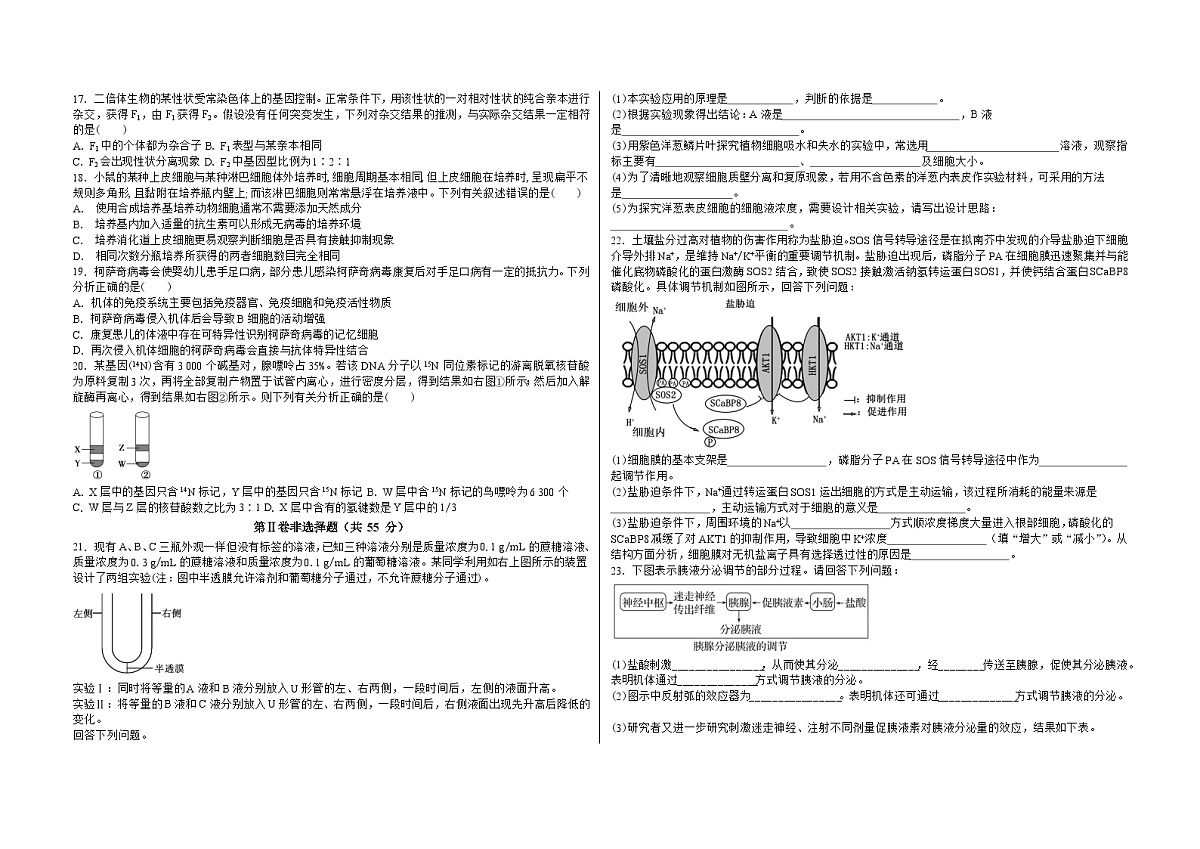 吉林省白城市实验高级中学2025届高三上学期1月期生物试卷（含答案）第3页