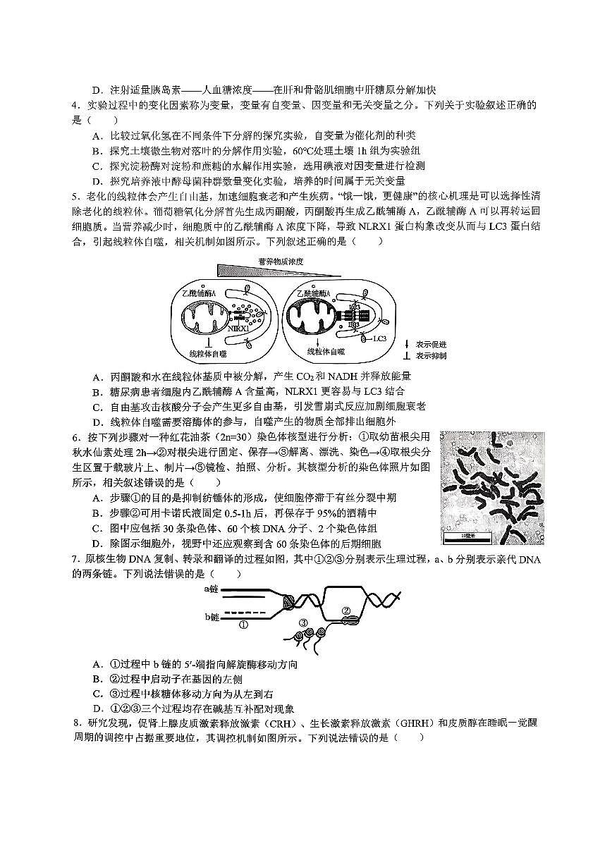 重庆育才中学高2026届高三（下）入学考试 生物第2页