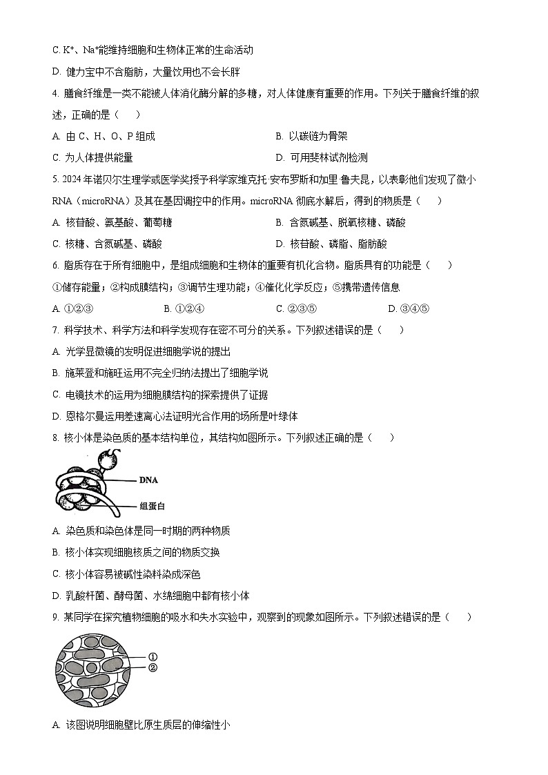 广东省佛山市高一上学期1月期末考试生物试题（原卷版）-A4第2页