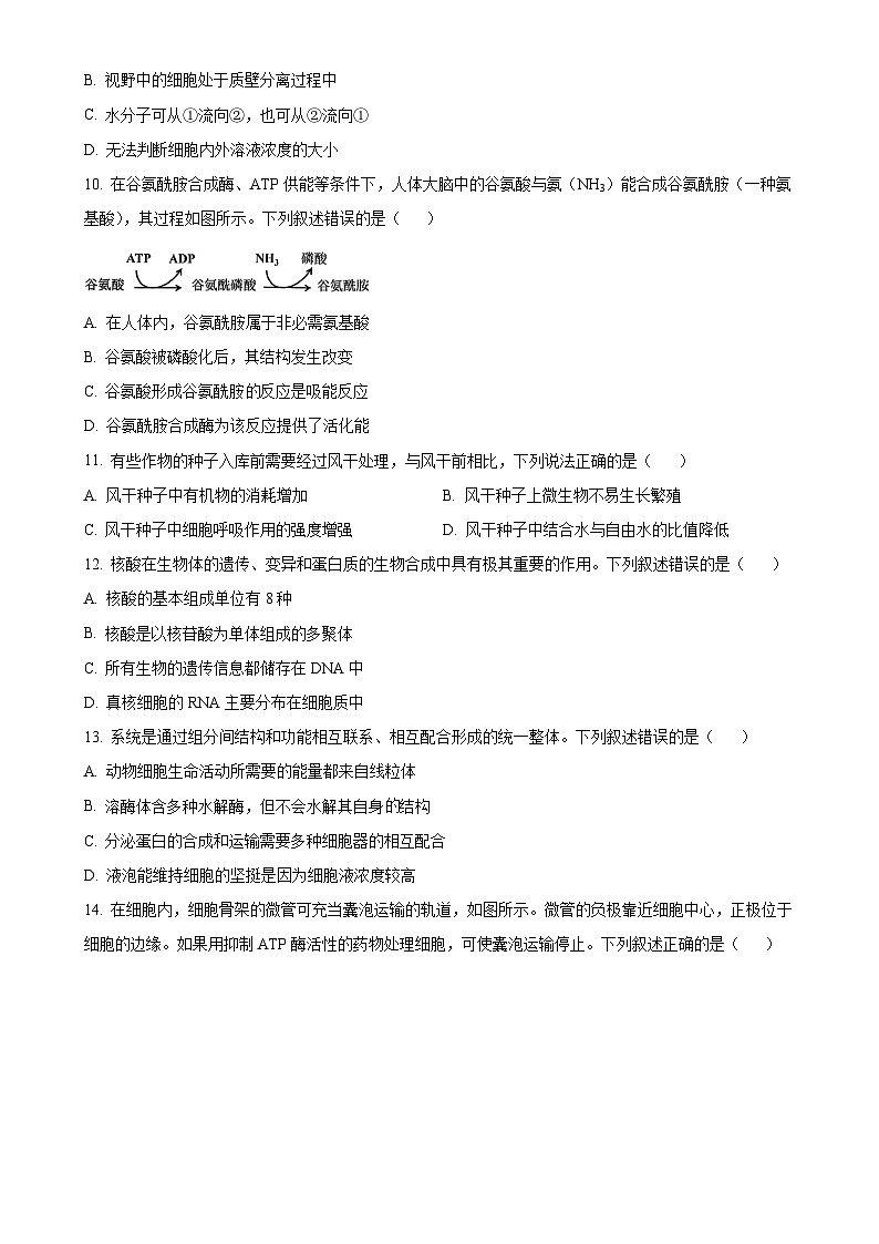 广东省佛山市高一上学期1月期末考试生物试题（原卷版）-A4第3页