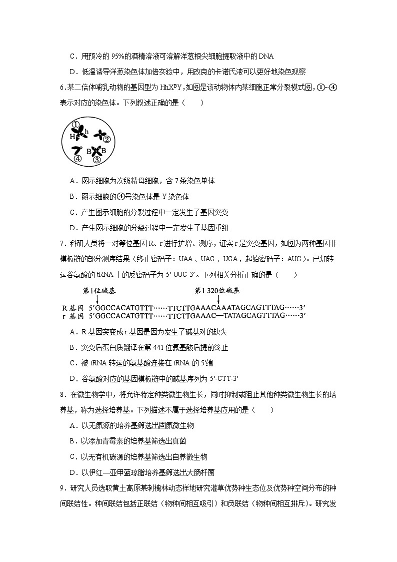 2026年四川省德阳市高三年级下学期3月联考生物试卷（无答案）第2页