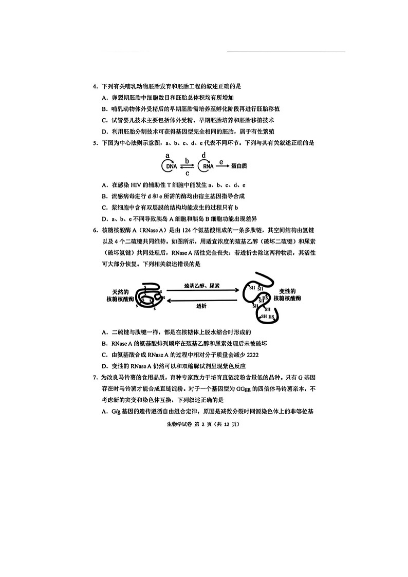 东北三省三校（哈师大附中、东北师大附中、辽宁实验）2025-2026学年高三下学期一模生物卷含答案第2页