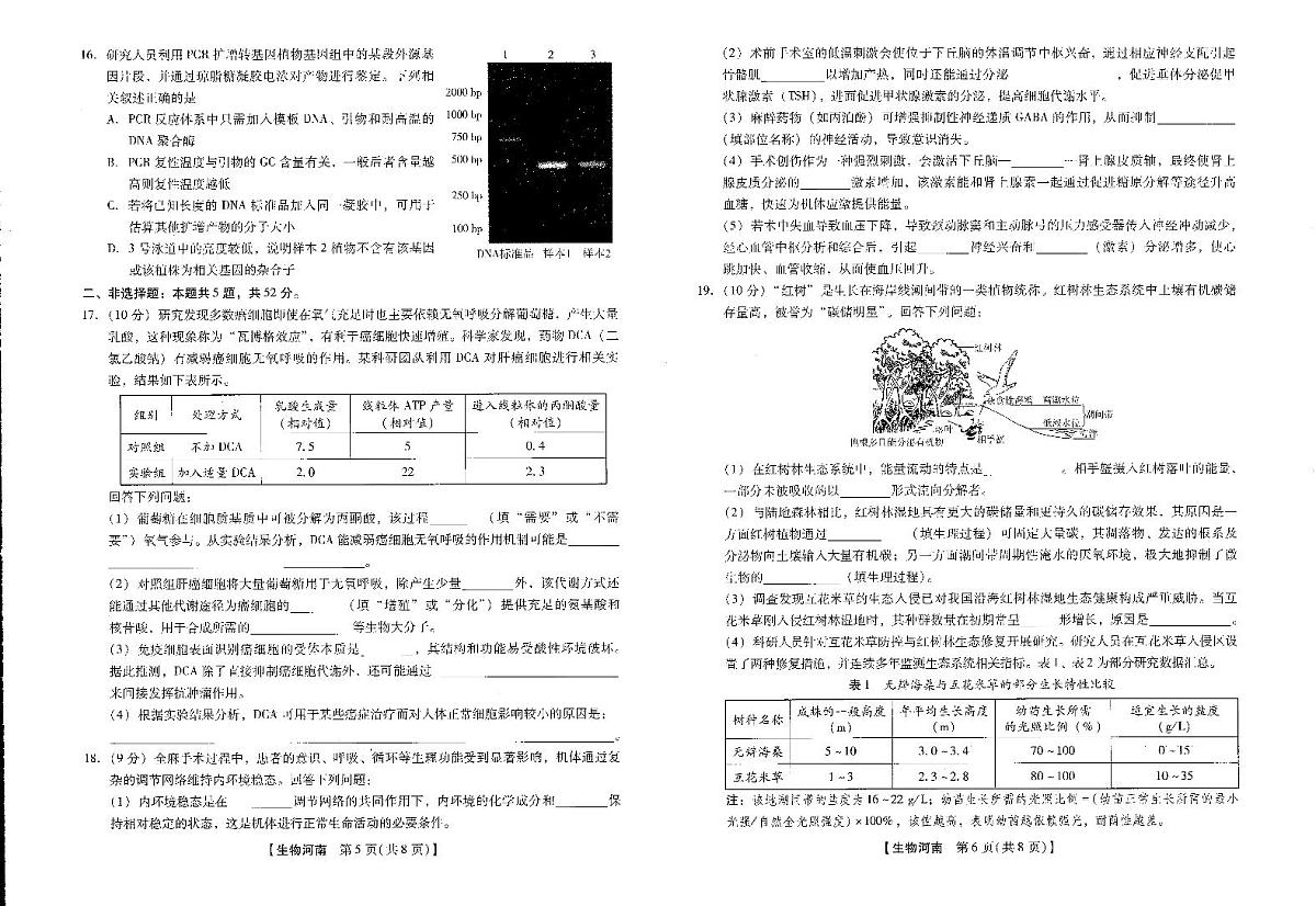 金科新未来联考2025-2026学年下学期高三3月月考生物学试卷含答案第3页