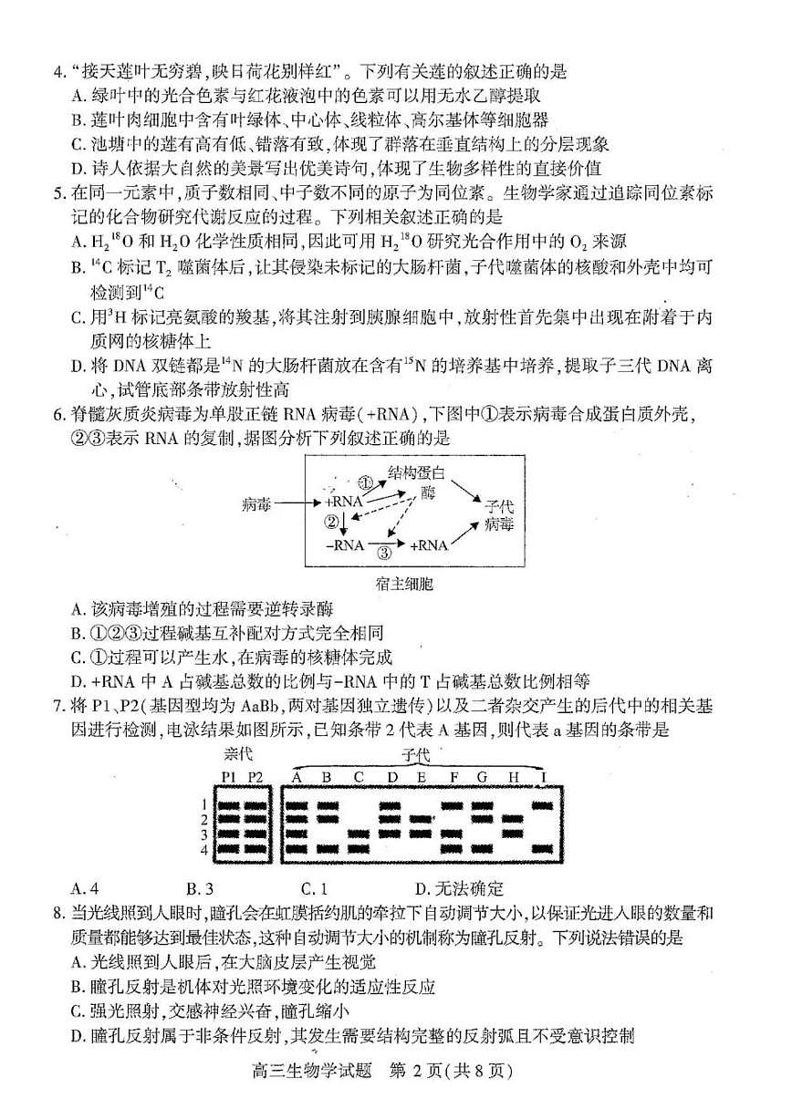 2026届湖北襄阳市下学期高三一模调研测试 生物试题+答案解析第2页