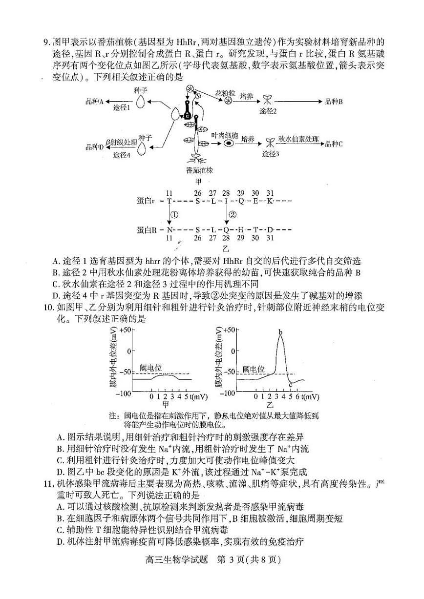 2026届湖北襄阳市下学期高三一模调研测试 生物试题+答案解析第3页