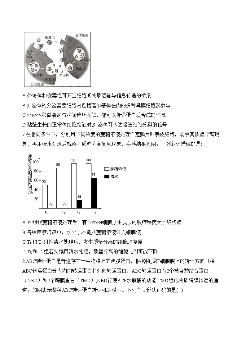 专题2 细胞的结构与物质运输（选择题）——高考生物学模块分练【新高考版】（含解析）(1)第3页